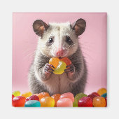 Opossum Eating Gummy Sweeties Magneet (Voorkant)