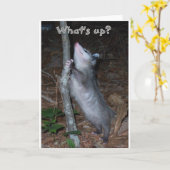 Opossum Kaart (Gele Bloem)