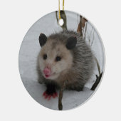 Opossum Keramisch Ornament (Links)