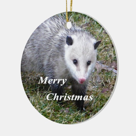 Opossum Keramisch Ornament (Links)