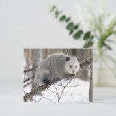 Opossum Love Briefkaart (Staand voorkant)