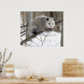 Opossum Love Poster (Keuken)