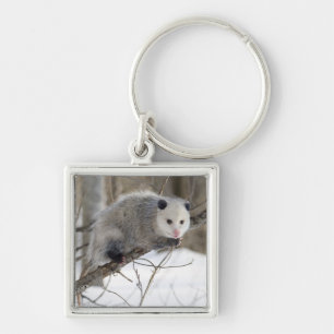 Opossum Love Sleutelhanger