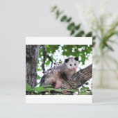 Opossum, mama en baby's kaart (Staand voorkant)