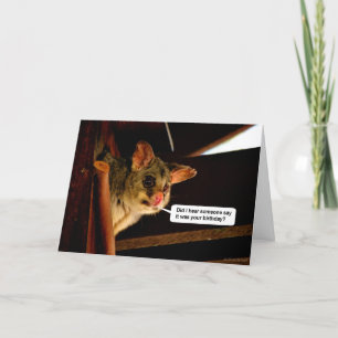 Opossum mignon de carte d'anniversaire d'opossum