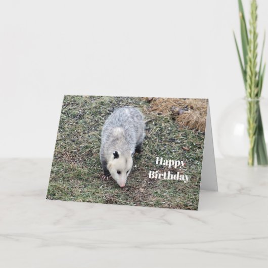 Opossum Photo Birthday Kaart (Voorkant)