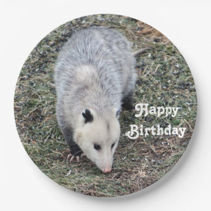 Opossum Photo Birthday Papieren Bordje