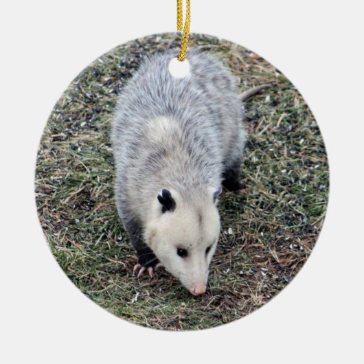 Opossum Photo Keramisch Ornament (Voorkant)