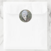 Opossum Photo Ronde Sticker (Tas)