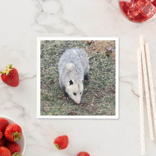 Opossum Photo Servetten (Insitu)