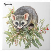 Opossum Tegeltje (Voorkant)