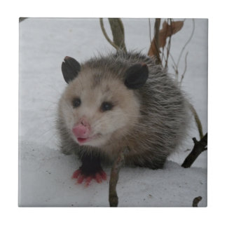 Opossum Tegeltje