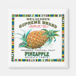 opperste ananasconserven magneet