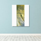 Oppervlak van Mars Canvas Afdruk (Insitu (Houten vloer))