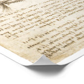 Oppervlakkige spieren van de bovenuitholling poster (Hoek)