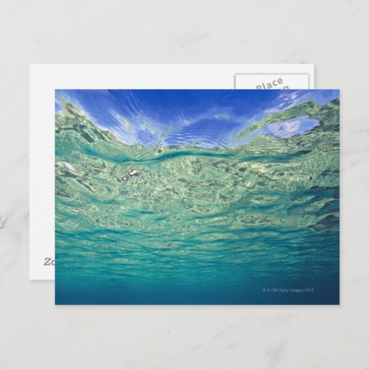 Oppervlakte van helder topicaal zee gezien van briefkaart (Voorkant / Achterkant)