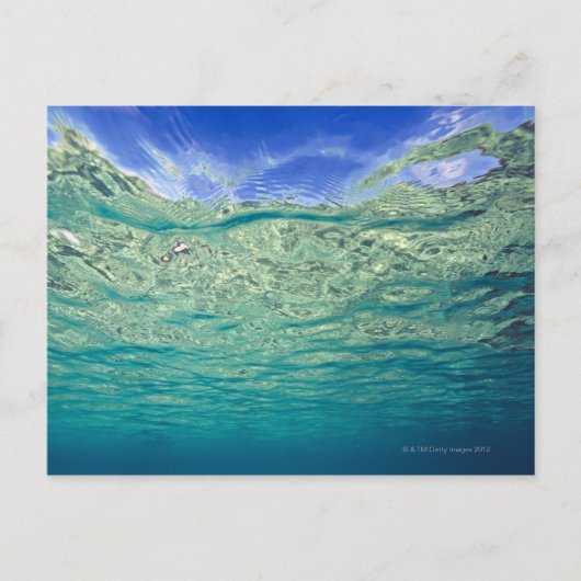 Oppervlakte van helder topicaal zee gezien van briefkaart (Voorkant)