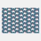 Opposites polaires - Papier d'enveloppement de Noë (Devant)