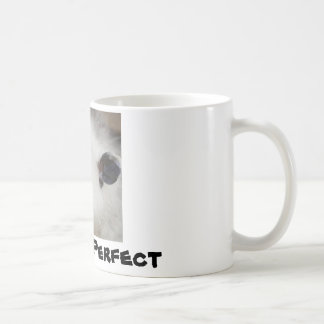 Opposum, Heidi Koffiemok