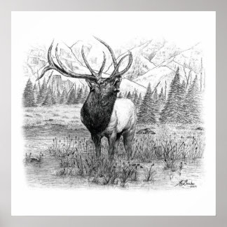 Oproep van de koning poster