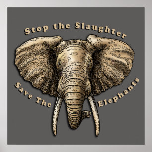 Opslaan van de afbeelding van Elephants Poster