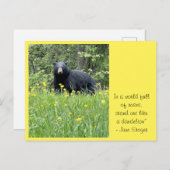 Opstaan als een Dandelion Briefkaart (Voorkant / Achterkant)