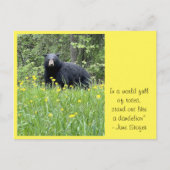 Opstaan als een Dandelion Briefkaart (Voorkant)