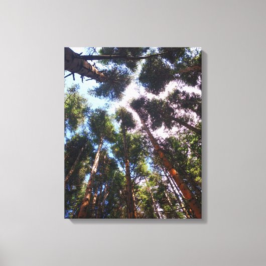 Opstaan Canvas Afdruk (Voorkant)