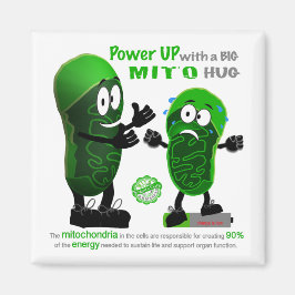 Opstarten met een GROTE MITO Knuffel Magneet