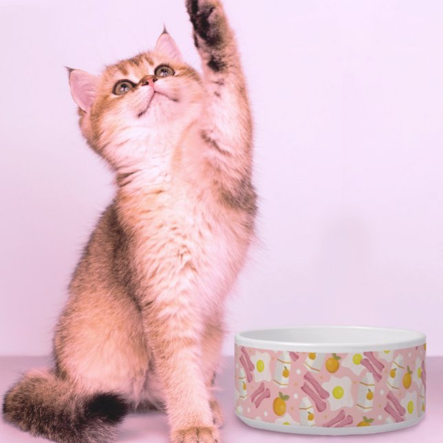 Optimistic Breakfast Voerbakje (Creator heeft geüpload)