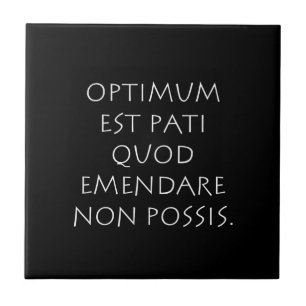Optimum est pati quod emendare non posare tegeltje