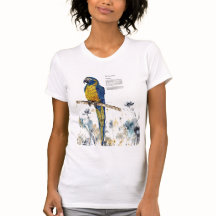 Opvallend Bedreigde Macaw Aquarel