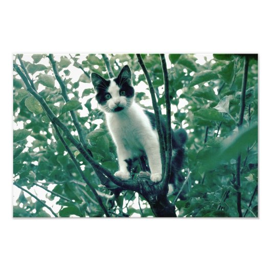 Opvallend gevoel van helderheid foto afdruk (Voorkant)