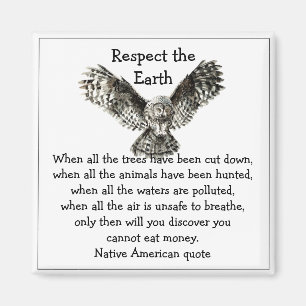 Opvallend Owl Respect de Aarde Native American Magneet