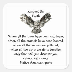Opvallend Owl Respect de Aarde Native American Vierkante Sticker
