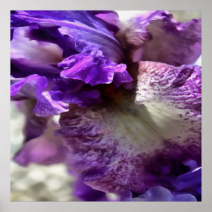 Opvallend Paars, Violet en Mauve Iris Abstract Poster