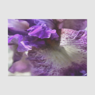 Opvallend Paars, Violet en Mauve Iris Abstract Tissuepapier