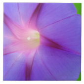 Opvallend Paarse bloemen Tegeltje (Voorkant)