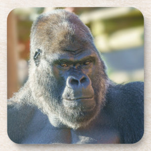 Opvallend Silverback Bier Onderzetter
