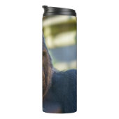 Opvallend Silverback Coffee Thermosbeker (Geroteerd rechts)