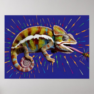 Opvallende kleurrijke kameleon poster