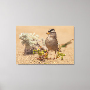 opvallende pose canvas afdruk