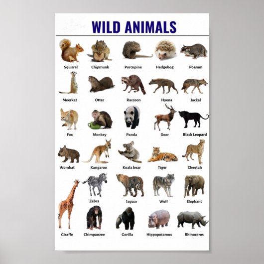 Opvoeding van wilde dieren poster (Voorkant)