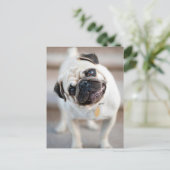 Opwindend ontwerp briefkaart (Staand voorkant)