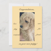 Opwinding, vreugde en plezier, nieuwe puppy, plat kaart (Voorkant)