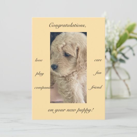 Opwinding, vreugde en plezier, nieuwe puppy, plat kaart (Staand voorkant)