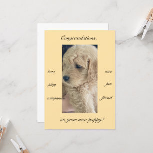 Opwinding, vreugde en plezier, nieuwe puppy, plat kaart