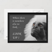 Opzoeken Briefkaart (Voorkant / Achterkant)