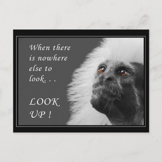 Opzoeken Briefkaart (Voorkant)