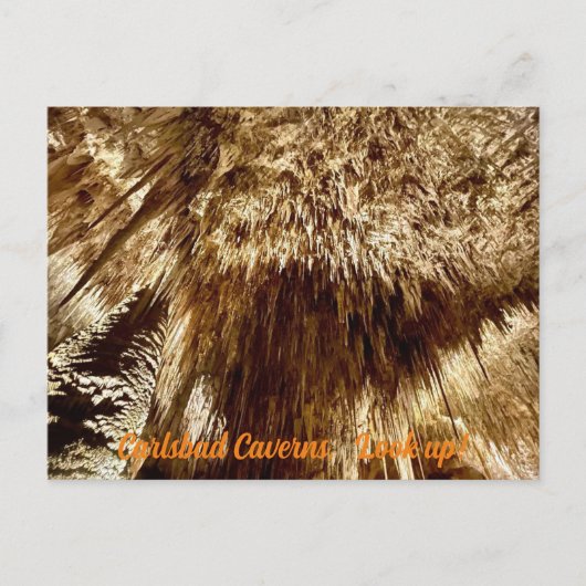 opzoeken briefkaart (Voorkant)